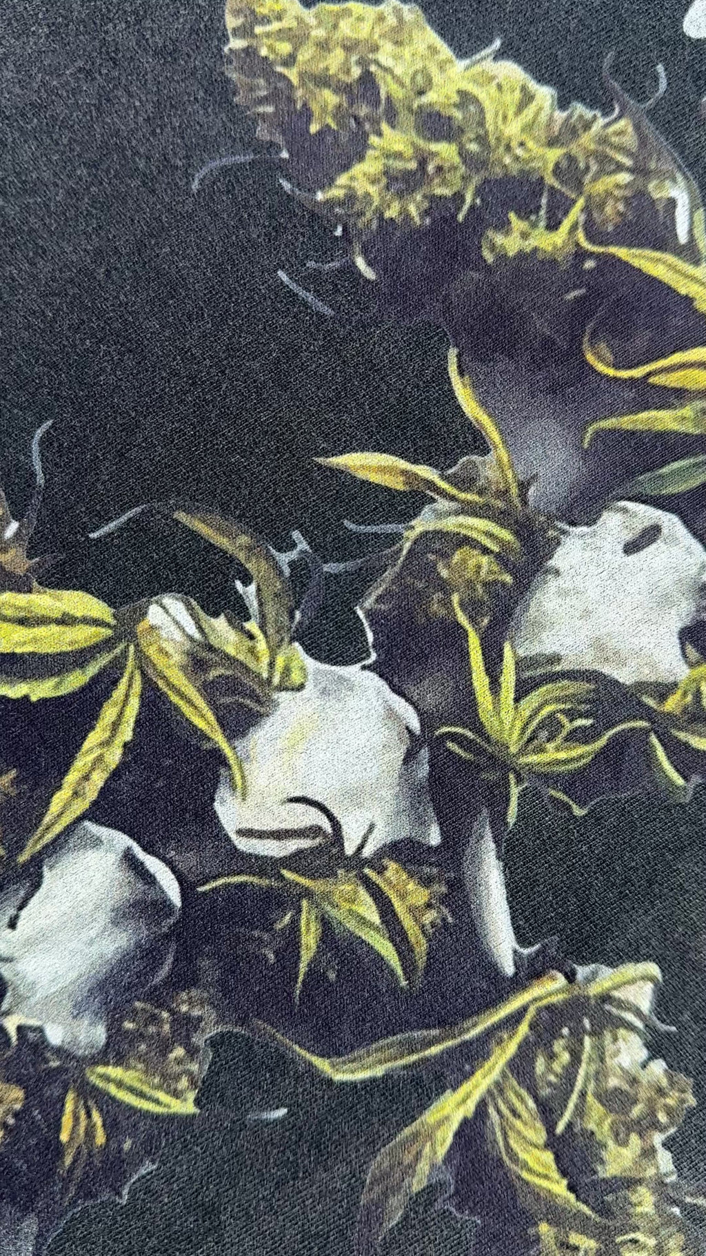 Natures Backbone Shirt